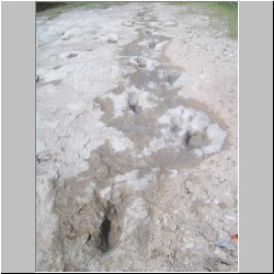 102_6168 (2013-08-07).JPG